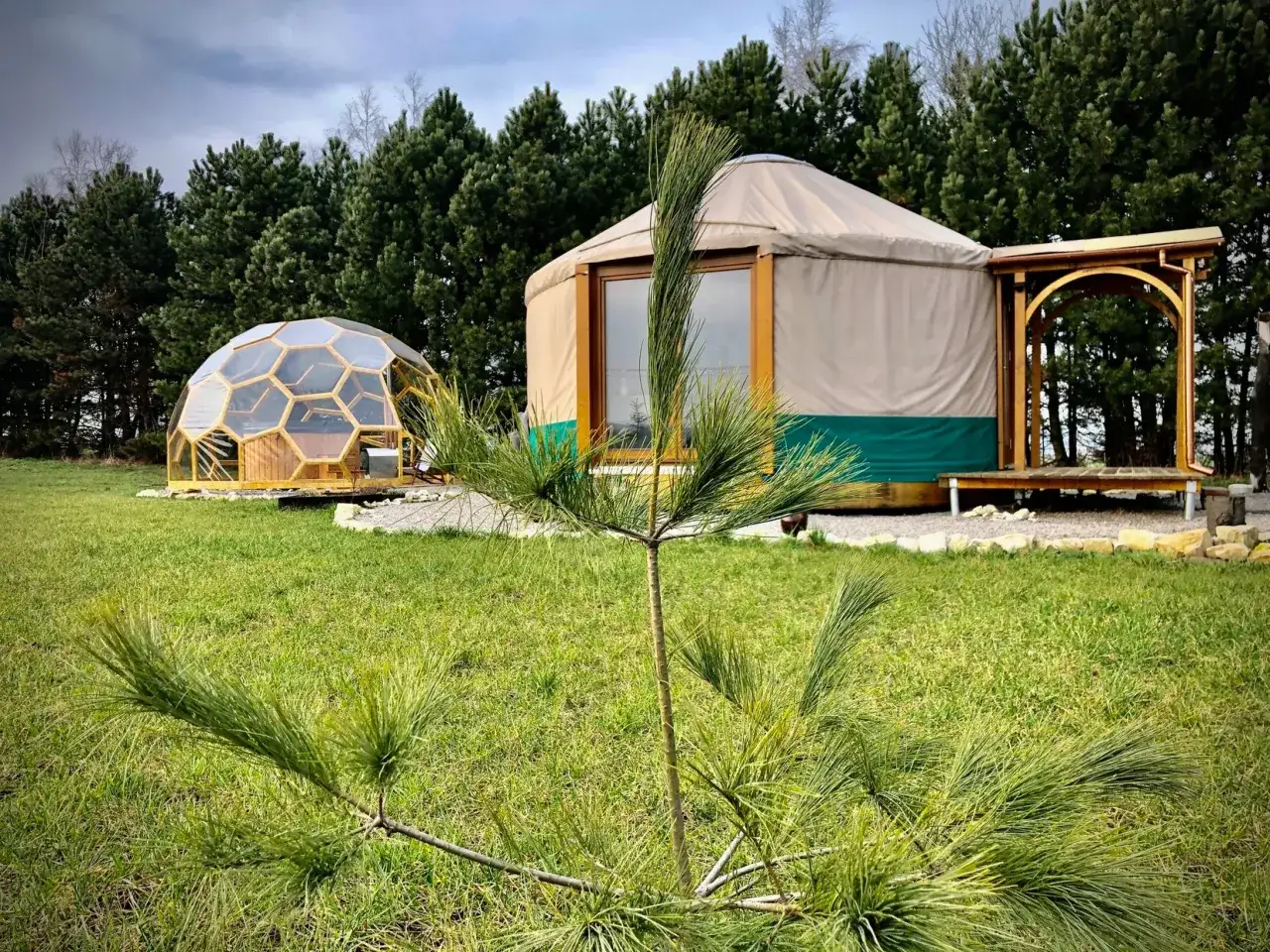 Jura i kopuła geodezyjna na zielonej łące, otoczone lasem. To przykład, co to jest glamping – luksusowy kemping w naturze.